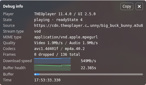Screenshot of the debug display